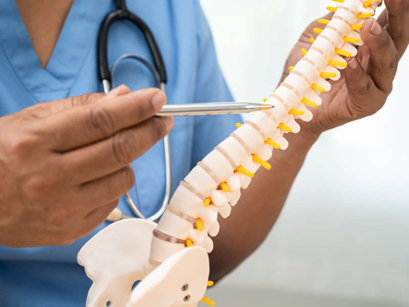 Chiropractic Care